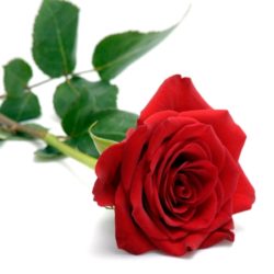 Judith A. Wilson, age 67