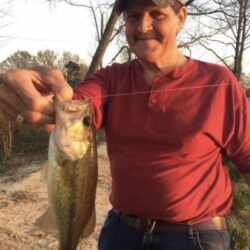 David Campbell Rupert, 67