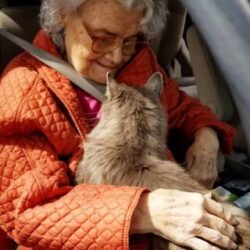 June Pauline Goforth, age 87