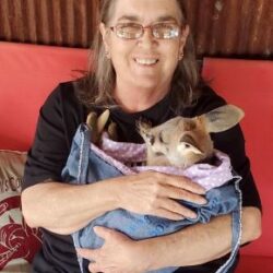 Debra Ann Painter, age 68